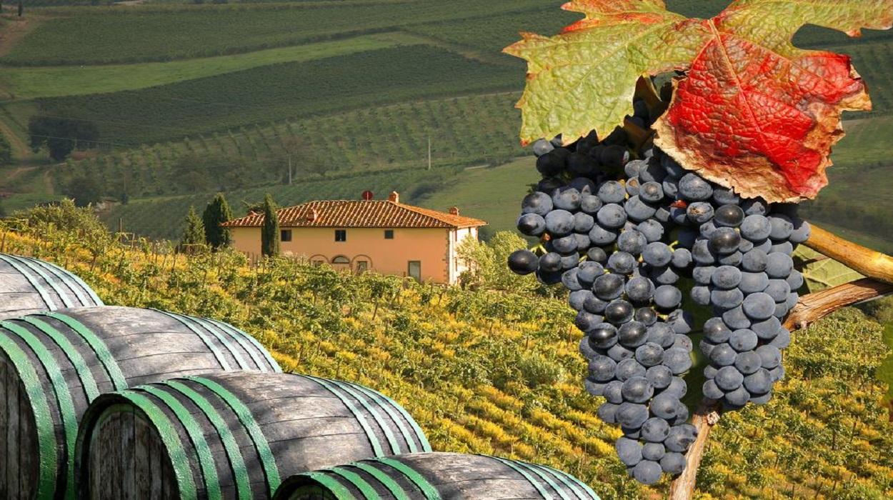 Как процессы виноделия влияют на вино.