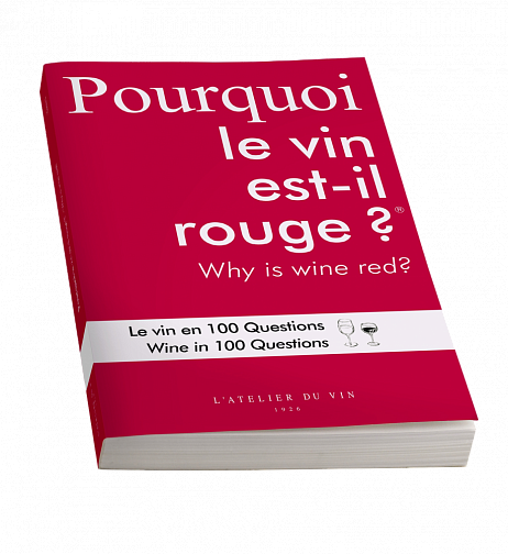 Буклет-викторина L'Atelier du Vin   Pourquoi le vin est il rouge Пурку