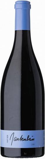 Вино Gantenbein Pinot Noir  2019 750 мл