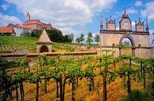 Виноградники на реке Дунай