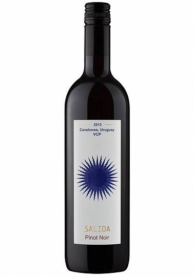 Вино Establesimiento Huaniko  Salida  Pinot Noir red 12,5%