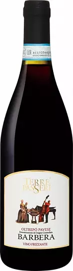 Игристое вино   Pirovano  Terre Passeri   Barbera, Oltrepo Pavese DOC 750 мл