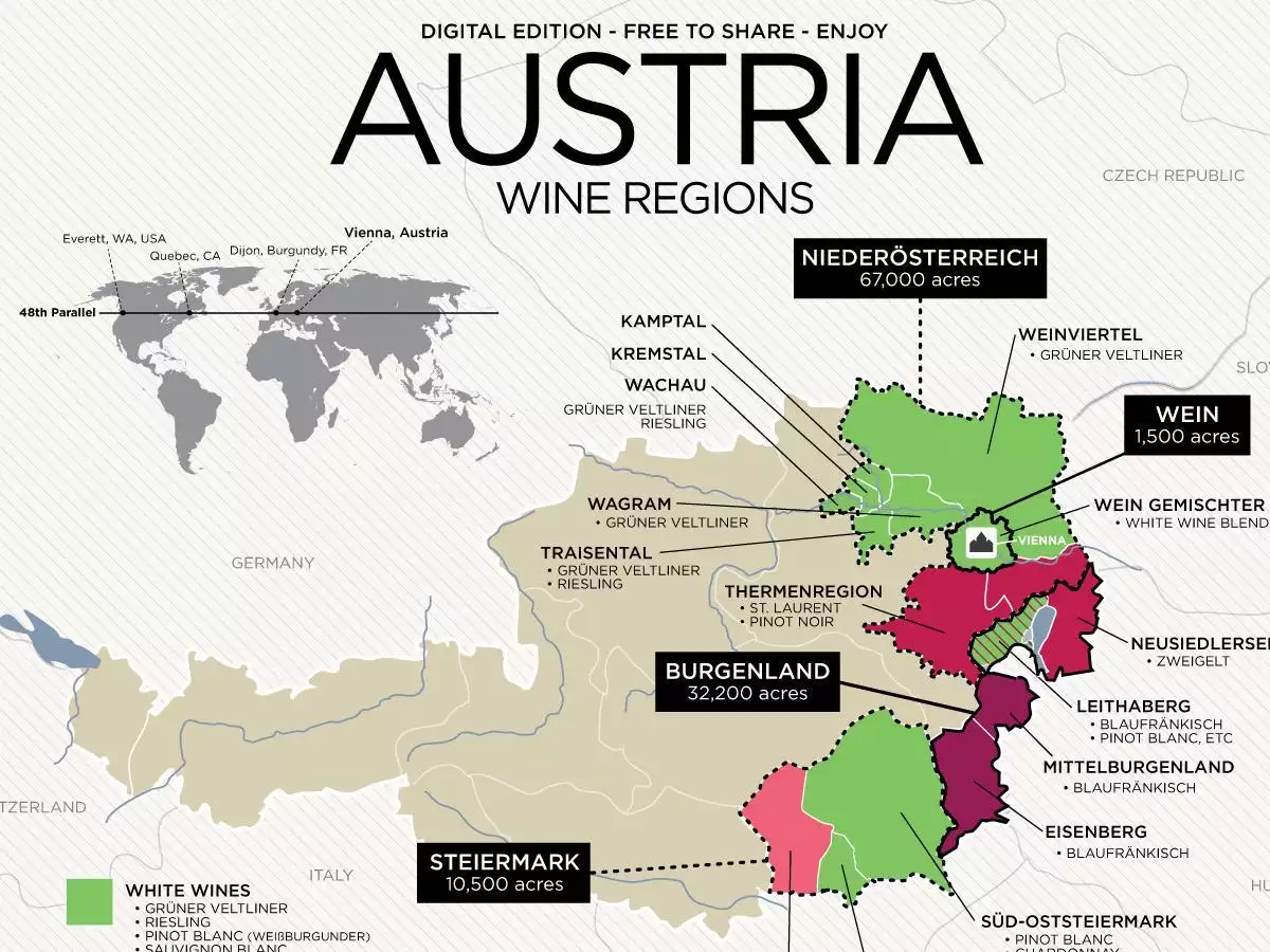 Познакомьтесь с винодельческими регионами Австрии
